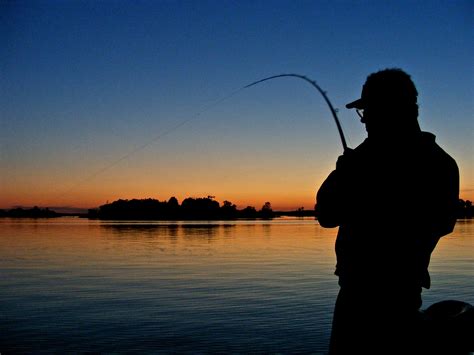 晚上要怎麼釣魚才上口：夜釣時的光影與詩意探索