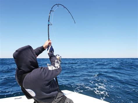 海邊釣龍蝦用什麼最好，其實我們可以談談如何選購最佳釣竿