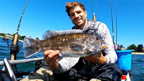 夏季打黑魚怎麼打？魚類的生態與環境保護議題。