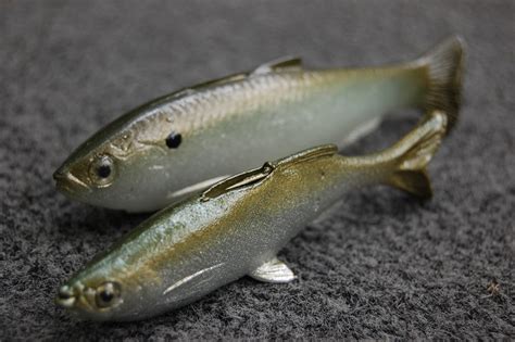 用什麼釣魚是最好